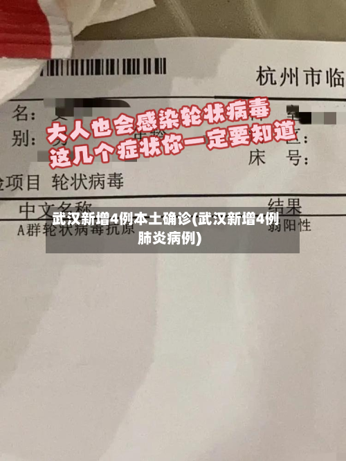 武汉新增4例本土确诊(武汉新增4例肺炎病例)-第3张图片