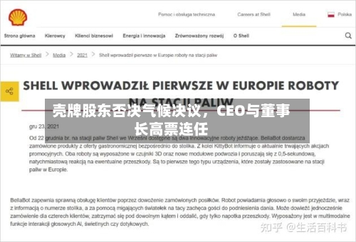 壳牌股东否决气候决议，CEO与董事长高票连任-第2张图片