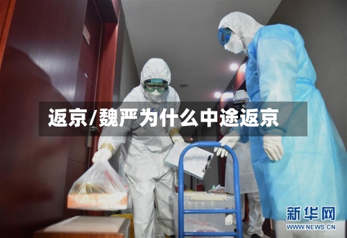 返京/魏严为什么中途返京-第2张图片
