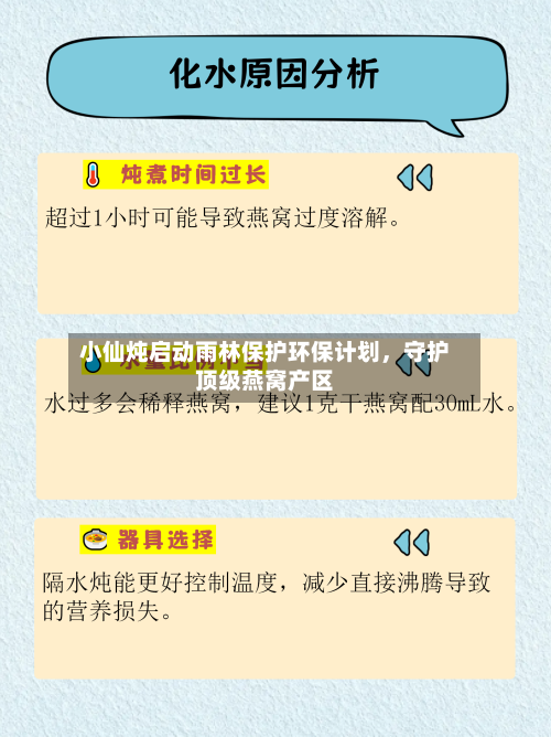 小仙炖启动雨林保护环保计划，守护顶级燕窝产区-第3张图片