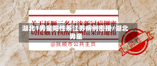 湖北1男童阳性系江苏病例密接/湖北 男童-第3张图片