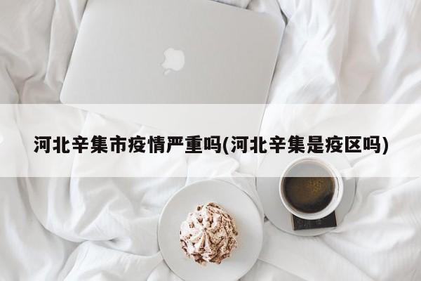 河北辛集市疫情严重吗(河北辛集是疫区吗)